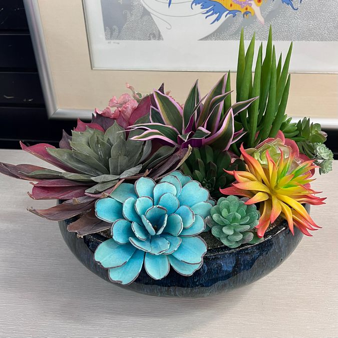 Succulent in Blue Ceramic Rectangle Container 14"W NEW