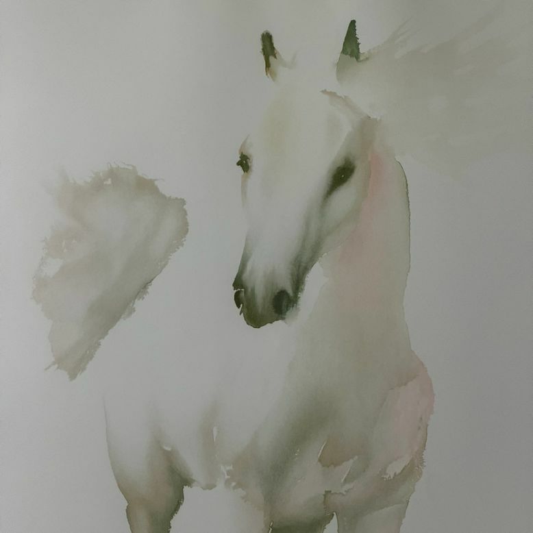 S/N Framed White Horse Print 33.5x41.5
