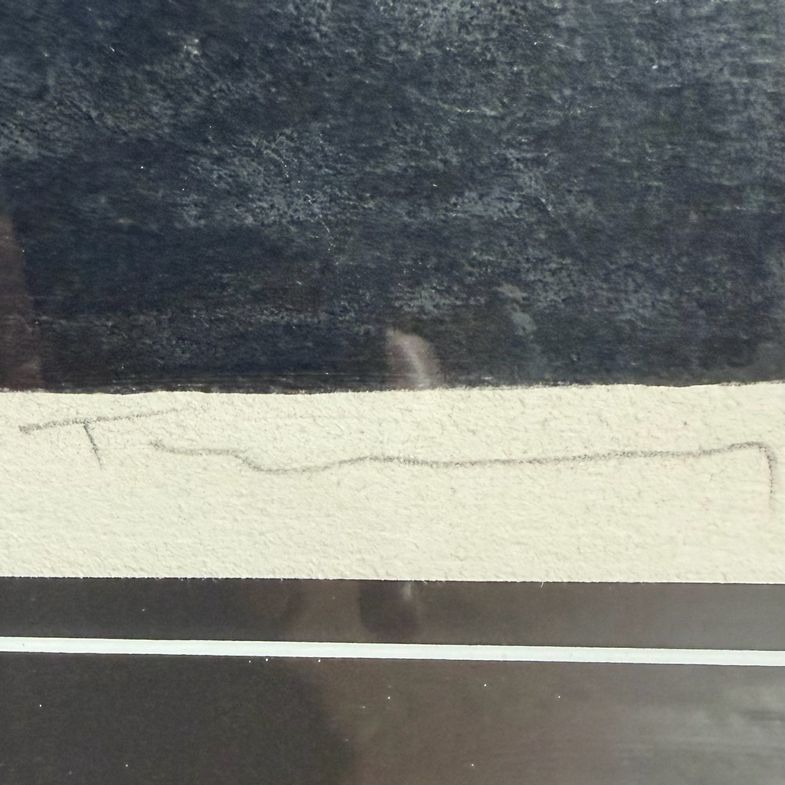 "Evening Respite" 30/350 Signed by Itzchak Tarkay 28"x52"x1.5"D