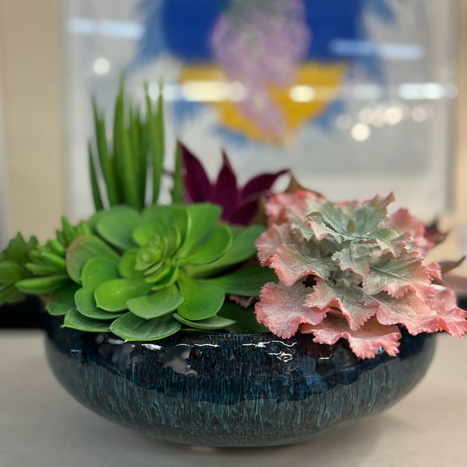 Succulent in Blue Ceramic Rectangle Container 14"W NEW