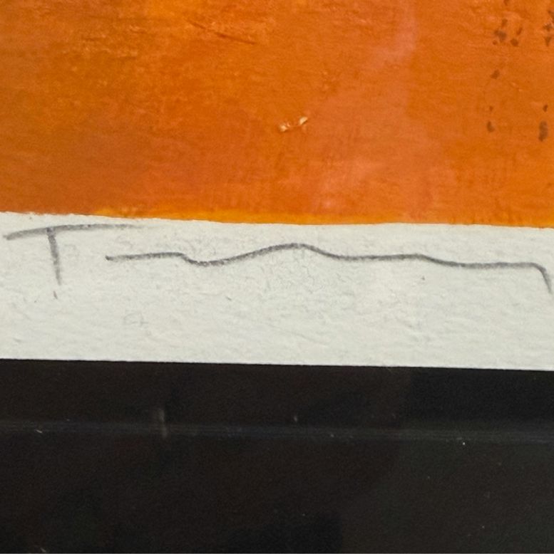 "Untitled" 90/350 Signed by Itzchak Tarkay 29"x52"x1.5"