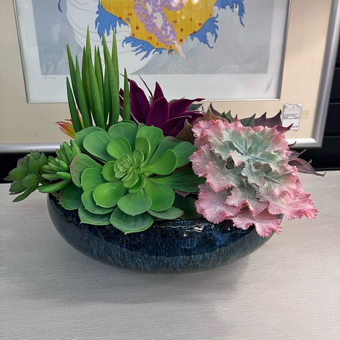 Succulent in Blue Ceramic Rectangle Container 14"W NEW