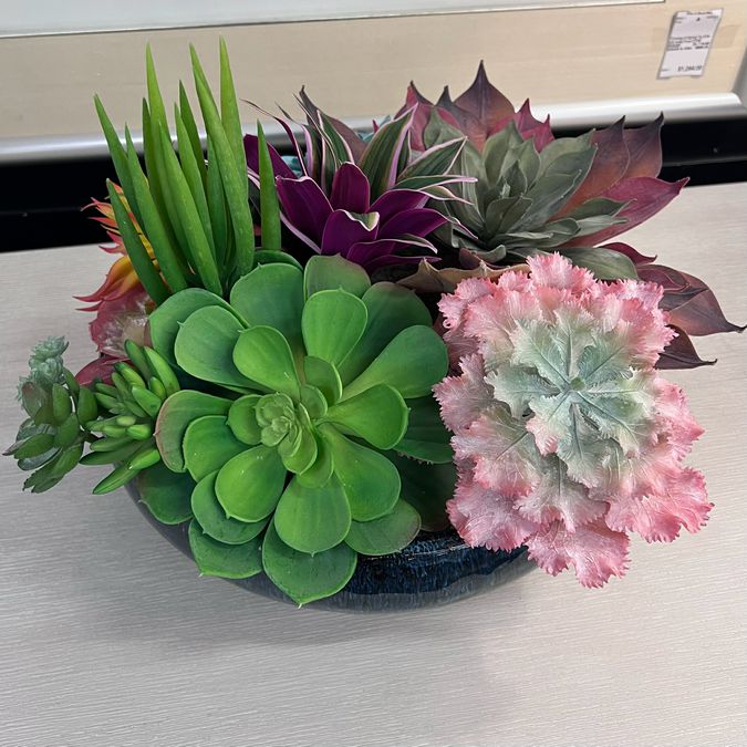 Succulent in Blue Ceramic Rectangle Container 14"W NEW