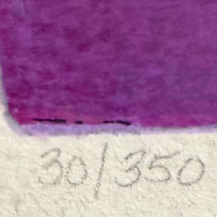 "Evening Respite" 30/350 Signed by Itzchak Tarkay 28"x52"x1.5"D