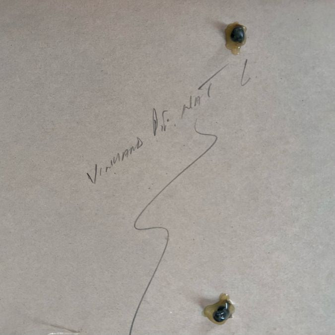 Northwest Coastal Indigenous Male Mask W/Copper, Horsehair 11x15