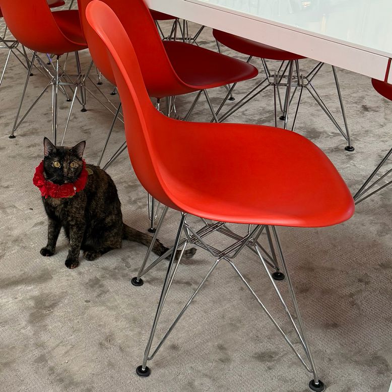 SET/4 Herman Miller Eames Molded Red/Orange Chairs 18x21x32