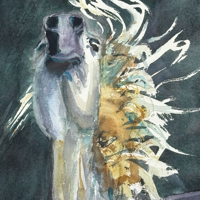 Sal Contreres Signed Horse Watercolor 19x22