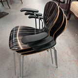 Ross Lovegrove Knoll Macasser Ebony "Sprite" Chair 28x20x31