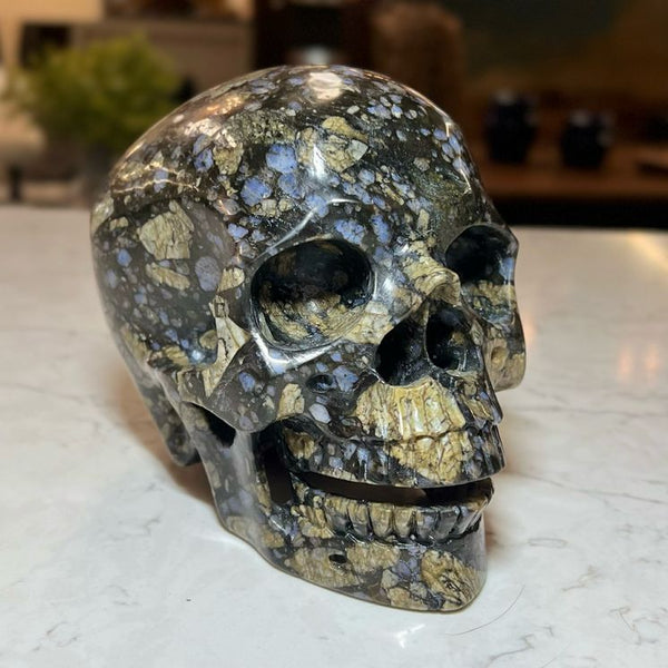 Lg Rhyolite Skull Sculpture 5"H