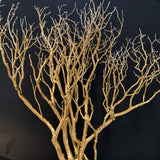 Original Gold Manzanita Branch Sculpture by S.Blake 40Lx13Dx47H