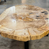 Petrified Wood Coffee Table 50.75x34x17