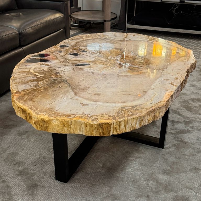 Petrified Wood Coffee Table 50.75x34x17