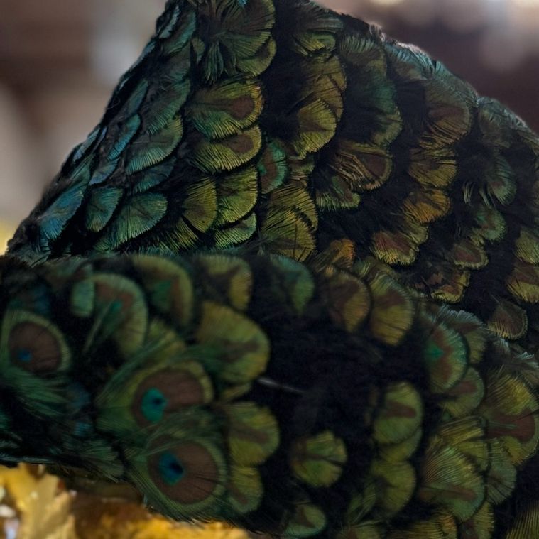 Peacock Hat by Kokin