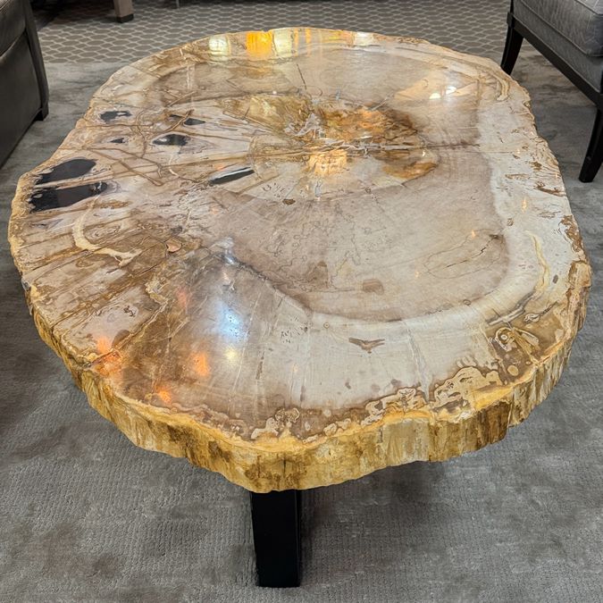 Petrified Wood Coffee Table 50.75x34x17