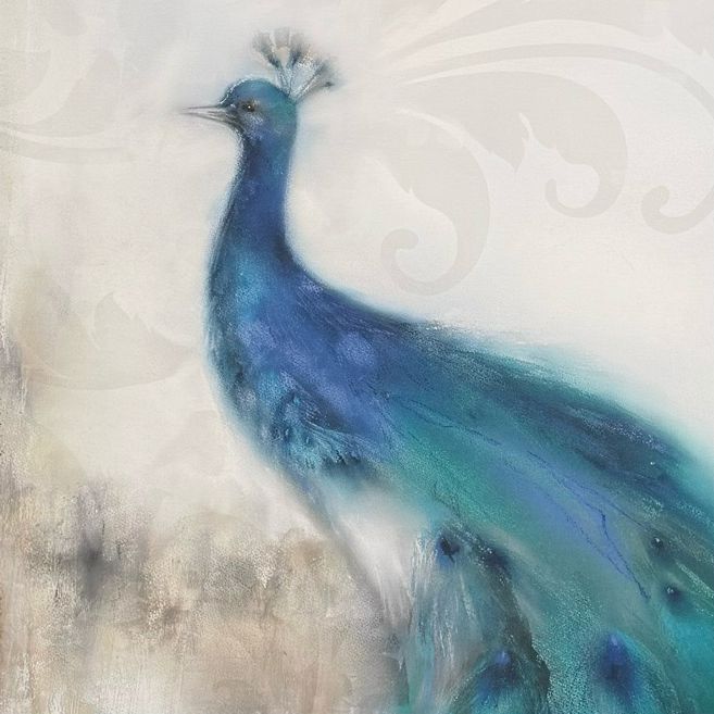 Framed Peacock Plumes Giclee' 48x72