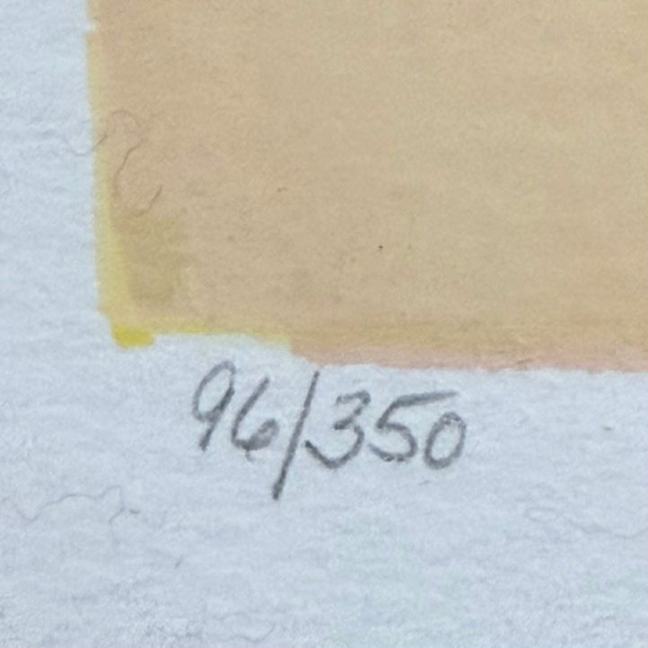 "Untitled" 90/350 Signed by Itzchak Tarkay 29"x52"x1.5"