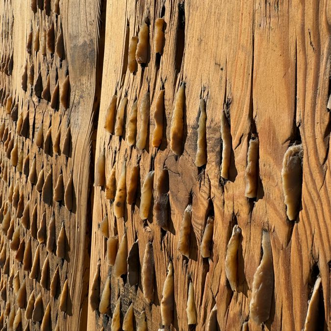 19th Century Threshing Board 70x25x3.5