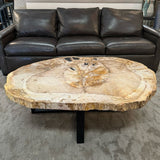 Petrified Wood Coffee Table 50.75x34x17