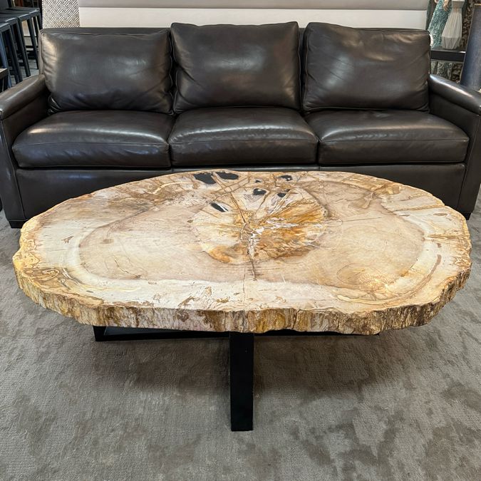 Petrified Wood Coffee Table 50.75x34x17