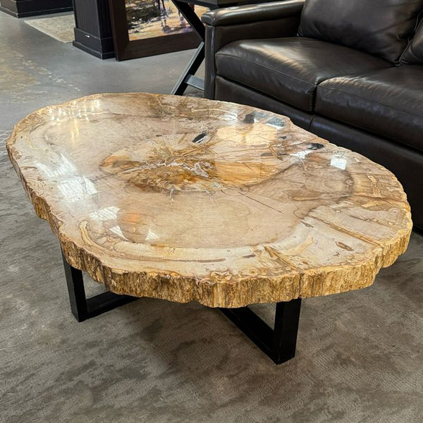 Petrified Wood Coffee Table 50.75x34x17