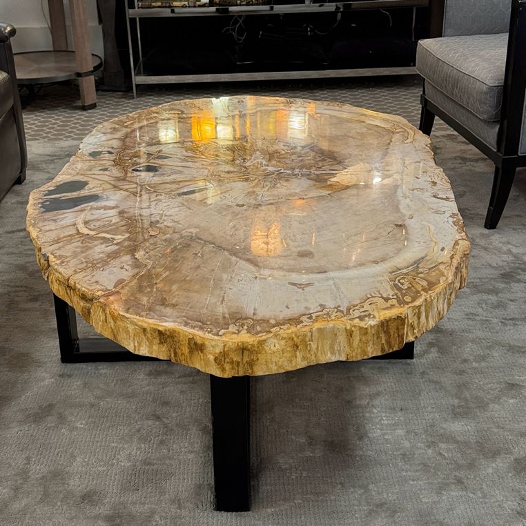 Petrified Wood Coffee Table 50.75x34x17