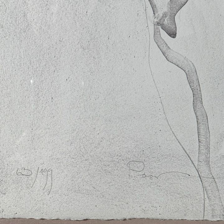 Lg Framed S/N Jurgen Gorg Nudes Lithograph 43.25x54.25