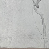 Lg Framed S/N Jurgen Gorg Nudes Lithograph 43.25x54.25